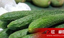 娱乐爆料黄瓜,娱乐圈新晋神秘人物，幕后故事引热议